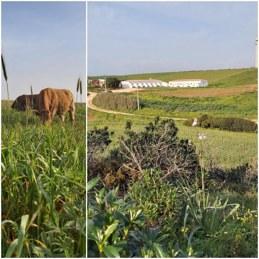 Monte Bagao - Turismo Rural Vila do Bispo Exteriér fotografie